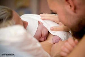 shutterstock_62050450-2