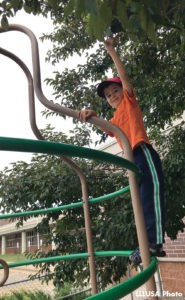 Micah climbing a play structure and reading for a leaf of a tree above it