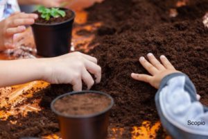 Kids hands grabbing potting soil to plant plants in posts 