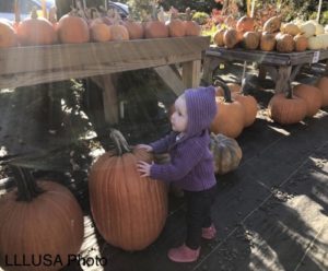 Toddler amidst pumpkins 